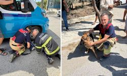 Minibüsün Altında Sıkışan Köpek İtfaiye Tarafından Kurtarıldı