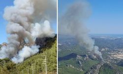 Ormanlık Alanda Çıkan Yangına Müdahale Sürüyor