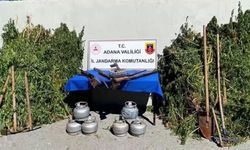 Ormanlık Alanda Uyuşturucu Operasyonu: 2 Gözaltı