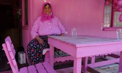 “Pembe Ev”iyle Tanınan Sakine Teyze, Yardım Bekliyor