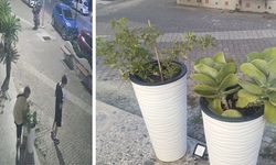 Saksıdaki Çiçeği Koparıp Götüren Kadının Davranışı Tepki Çekti