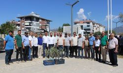 Tarımsal Kalkınmaya Katkı İçin Binlerce Zeytin Fidanı Toprakla Buluştu
