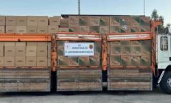 Tırda 5,5 Milyon Sahte Makaron Yakalandı
