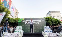 Tohumdan Güneş Paneline Kadar Çiftçilere Çok Yönlü Destek Sağlandı