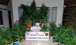 Yasaklı Madde Operasyonu