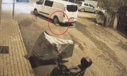 Sürücü manevra yaparak kediyi ezip yoluna devam etti