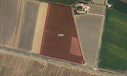 Kahramanmaraş'ta 11.754 m² Tarla Hissesi İhaleye Çıkıyor