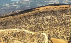 Yangın Bölgelerine Havadan İnceleme Yapılıyor