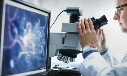 Bilimsel araştırma geliştirme hizmetleri revaçta