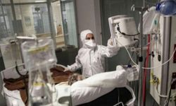 Nadir Görülen Hastalık: Bir Kişide Deli Dana Hastalığı Tespit Edildi!