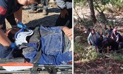 Feci Kaza: Kamyon Şarampole Yuvarlandı