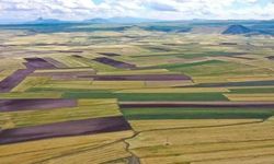 Göksun'da Hazine Arazileri İçin İhale Tarihi Belli Oldu