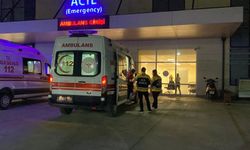Jandarma Aracı ile Otomobil Çarpıştı: 5 Yaralı