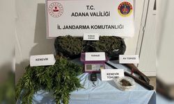 Jandarma Operasyonunda 10 Kilo Esrar Ele Geçirildi