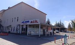 Kahramanmaraş’ta Arı Sokan 9 Yaşındaki Çocuk Hayatını Kaybetti