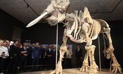 Kahramanmaraş’ta Cumhuriyetin 102. Yılına Özel Sergi Kapılarını Açtı