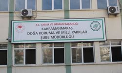 Kahramanmaraş’ta Doğa Koruma İçin Yeni Kamu Kadroları Açıldı