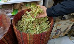 Kahramanmaraş'ta Ihlamur Fiyatları Rekor Kırdı