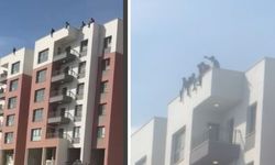 Kahramanmaraş’ta İşçiler Çatıda Eylem Başlattı