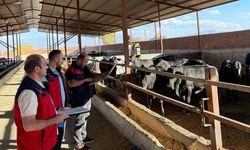 Kahramanmaraş'ta İthal Hayvan Denetimi Gerçekleştirildi