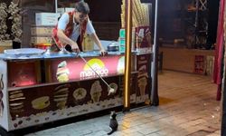 Kahramanmaraş'ta Kedi ile Dondurma Ustası Arasında Sevimli Anlar