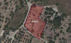 Kahramanmaraş Dulkadiroğlu'nda 2.208 m² Tarım Arazisi Satışta