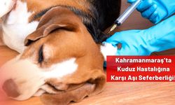 Kahramanmaraş’ta Kuduz Hastalığına Karşı Aşı Seferberliği