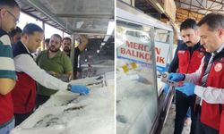 Kahramanmaraş’ta Su Ürünleri Denetimleri Devam Ediyor