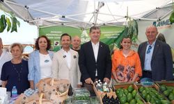 Lezzet ve Renk Dolu Festival Başladı