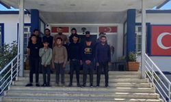 Minibüste 12 Göçmen Yakalandı, Sürücü Tutuklandı
