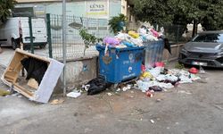 Vatandaş İsyan Etti: Çöp Dağları Büyüyor