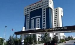 Tarım ve Orman Bakanlığı 200 Personel Alımı Başlattı Başvuru Şartları Neler?