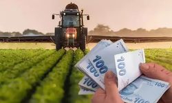 Tarımsal Destek Ödemeleri Ne Zaman Ödenecek?
