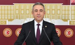 Vekil Karatutlu Balık Ölümlerini Meclis’e Taşıdı