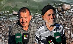 Kahramanmaraş ta Balık Ölümleri Araştırılıyor