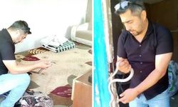 Vatandaş, Korkulan Karayılanı Elleriy­le Yakayıp Doğaya Saldı