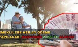 Emeklilere Her Ay Ödeme Yapılacak: Başvuran 2.000 TL Alacak