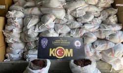 Tırda saklanan 10 ton kaçak kıyılmış tütün ele geçirildi