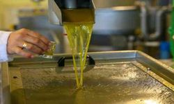 Kahramanmaraş'ta Zeytinyağı Fiyatları Rekor Kırdı