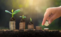 Kasım'da Bunu Yapan 80 Yıl Boyunca Para Kazanıyor!