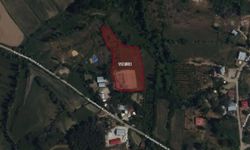 Kahramanmaraş Göksun'da 4.404 m² Sulu Tarım Arazisi Satışta