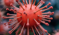 Uzmanlar Tekrar Isıtıldığında Zehirleyebilen Beş Yemek Türünü Açıkladı