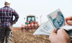 Çiftçilere Beklenen Müjde Geldi! Ödemeler Hesapta