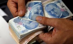 Devlet Bankası Kadın Girişimcilere 1 Milyon TL Kredi Verecek