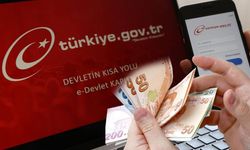 e-Devlet'ten kontrol edin uyarısı! hesapta 'büyük şok'