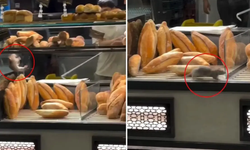 Ekmek Fırınında Mide Bulandıran Görüntü