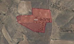 Kahramanmaraş'ta 1 Milyonluk Tarım Arazisi Satışta!