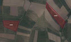 Kahramanmaraş'ta 49 Dönüm Tarla Açık Artırmayla Satılık!