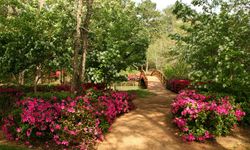 Fiyatını Gören Dönüp Bir Daha Bakacak: Kahramanmaraş'ta Büyük Bahçe İcradan Satılacak