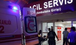 Elbistan'da Trafik Kazası: 15 Yaşındaki Sürücü Hayatını Kaybetti